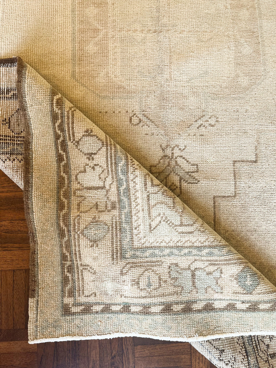 Neutral Rugs – Collectible Brooks