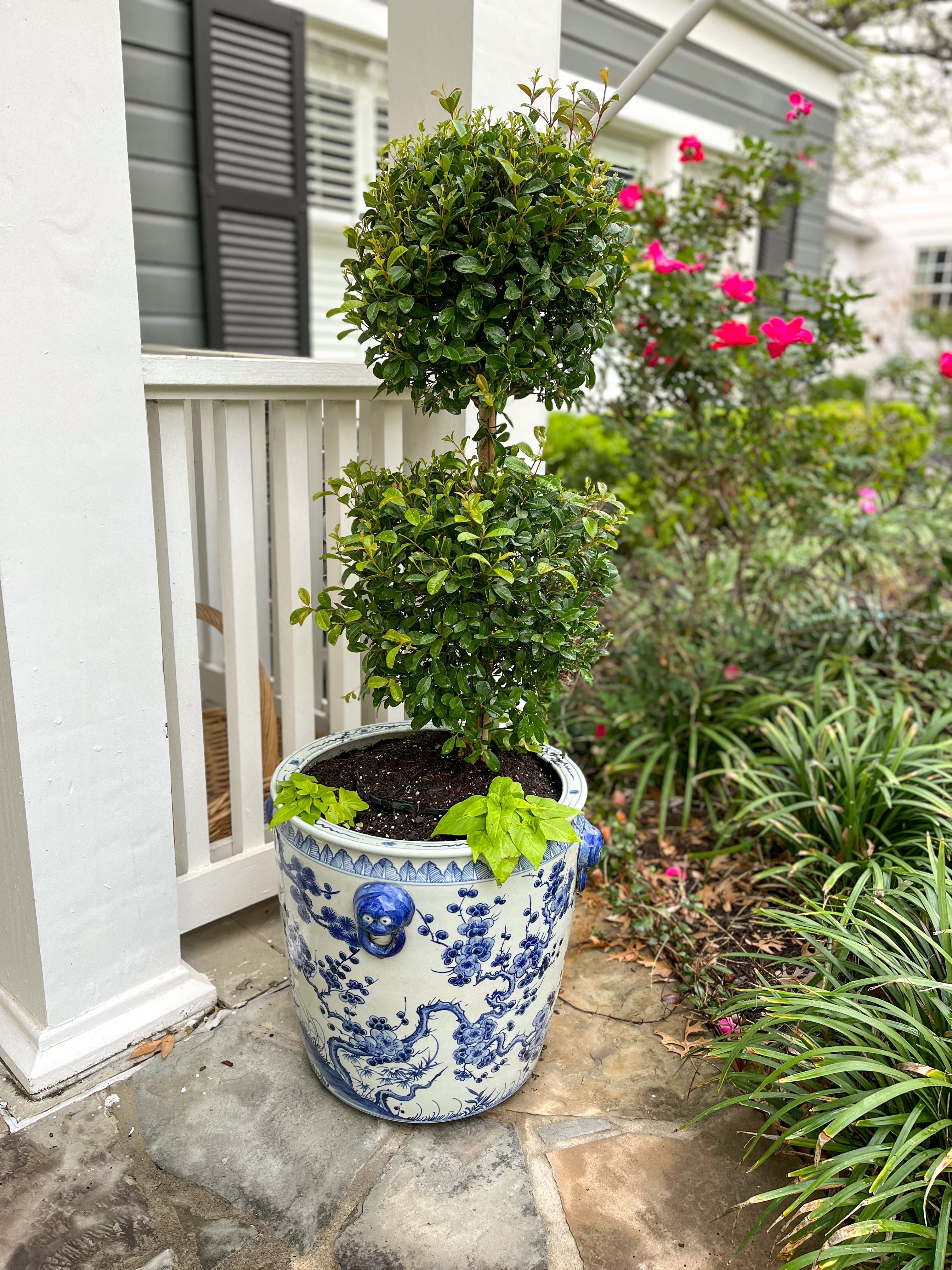 extra large plant pot for tree Antique-Style Blue and White Extra Large Planter with Tree Pattern – Collectible Brooks