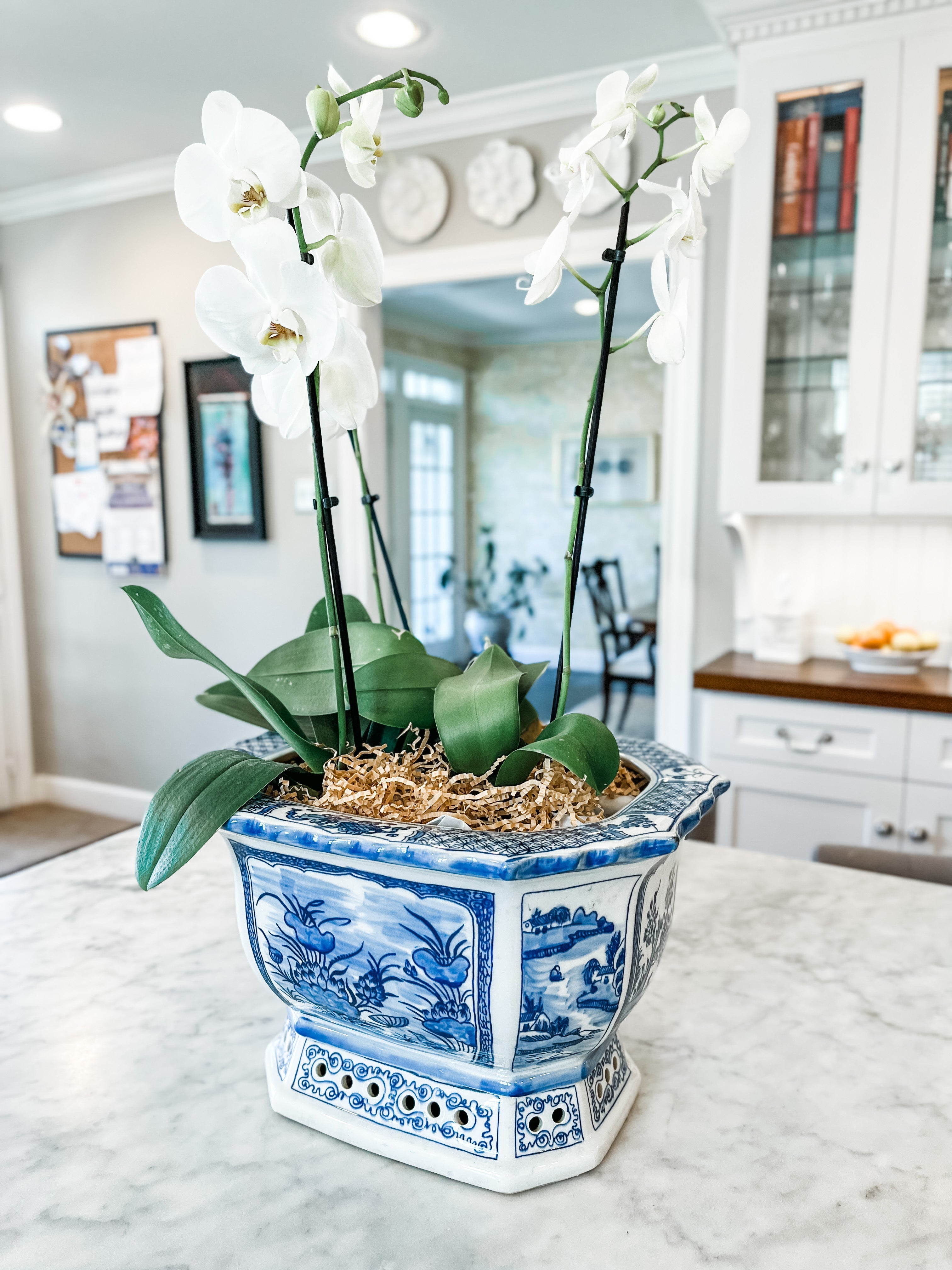 blue and white large plant pot Antique-Style Blue and White Large Hexagonal Planter, 15" – Collectible Brooks